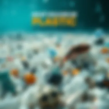 Impact of Plastic on Marine Ecosystems Infographic showcasing the environmental impact of plastic on marine life