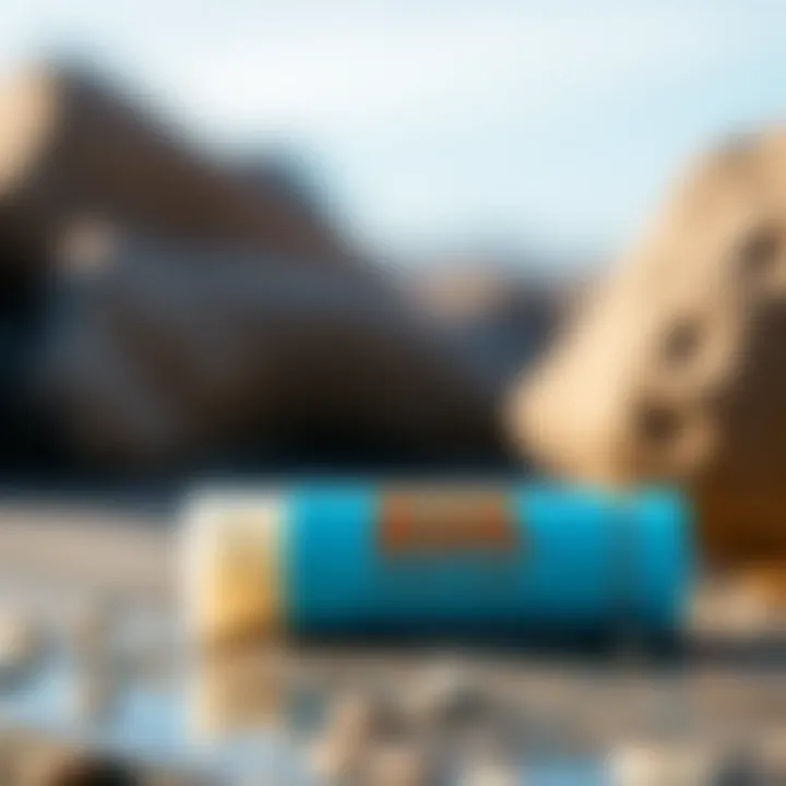 Ingredients of Sun Bum Signature SPF 30 Sunscreen Lip Balm displayed elegantly