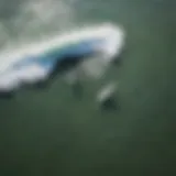 Aerial view of surfers catching waves at Ventura County beach