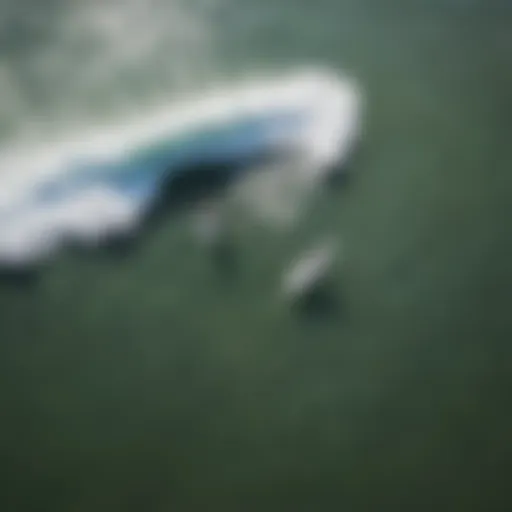 Aerial view of surfers catching waves at Ventura County beach