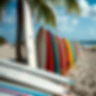 Local Artistry in Surfboards Colorful local surfboards lined up on the sand