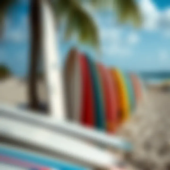 Local Artistry in Surfboards Colorful local surfboards lined up on the sand