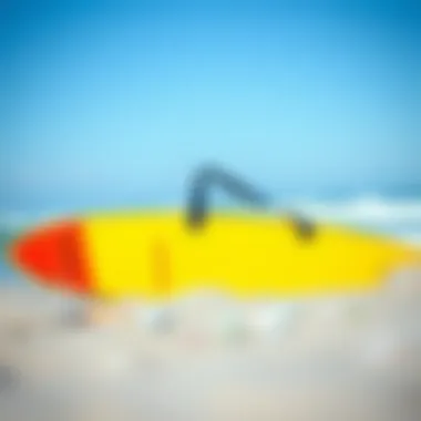 A Look at Popular Surfboard Bag Brands Surfboard bags from different brands