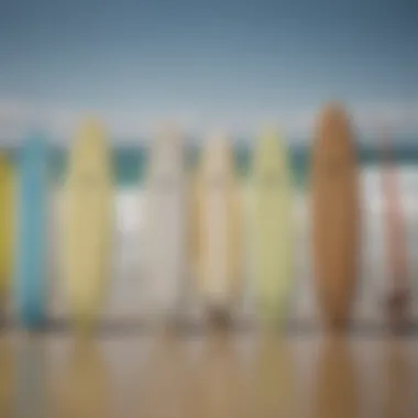 A side-by-side comparison of different surfboard types including Wavestorm.