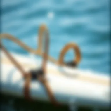 Sustainable Materials in Surfboard Tie Downs Eco-friendly materials used in surfboard tie downs