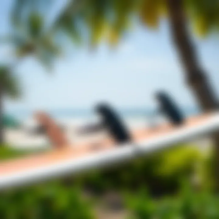 Varieties of Surfboard Tie Down Systems Different types of surfboard tie down systems