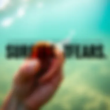 Comprehensive Treatment Options for Surfer's Ear Treatment options for surfer's ear