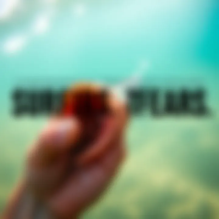 Comprehensive Treatment Options for Surfer's Ear Treatment options for surfer's ear