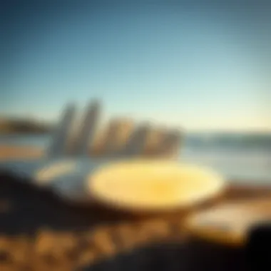 Surfboards lined up on the beach ready for use