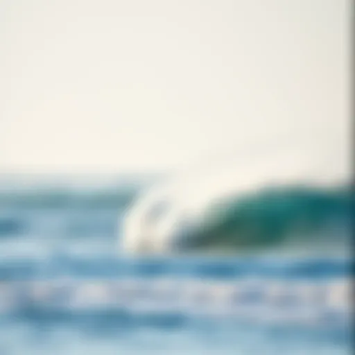 Ideal Surfing Conditions in Portugal A tranquil beach in Portugal with perfect waves for beginners