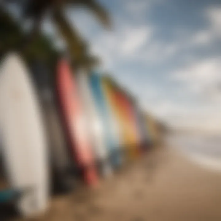 A close-up of surfboards lined up on the sandy shore, highlighting the essential gear for surfers in Puerto Rico.