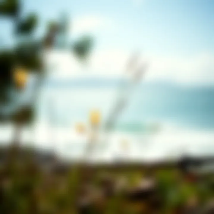 Close-up of nature showcasing its calming effects