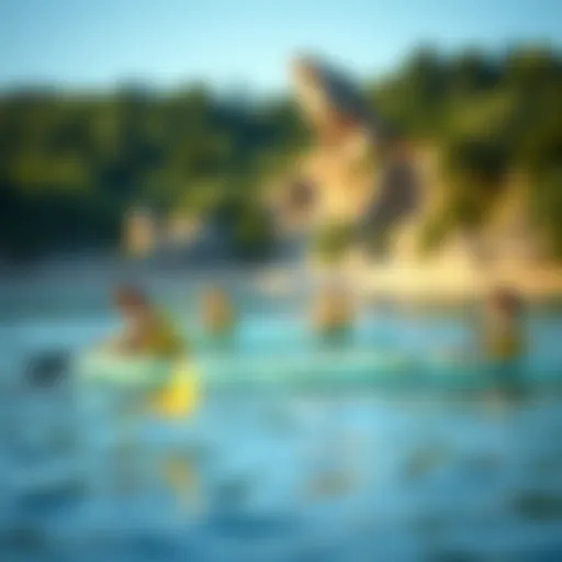 Serene landscape promoting tranquility