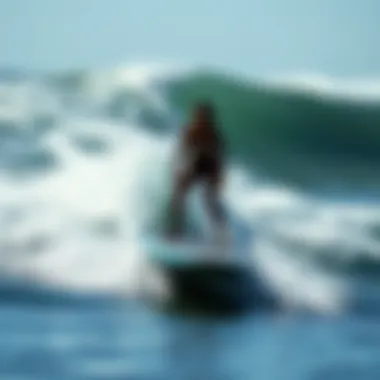 Understanding Environmental Impact Environmental impact analysis of automatic surfboards on marine life