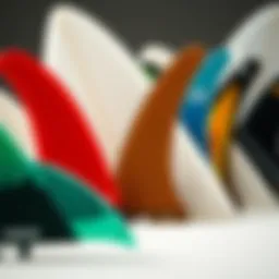 Diverse surfboard fin types arranged aesthetically