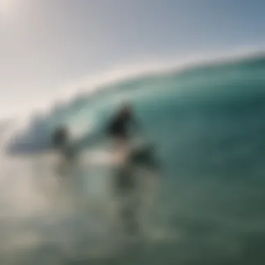 A group of novice surfers taking lessons in gentle waves.