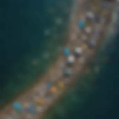 An aerial view of a marine ecosystem affected by plastic pollution