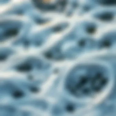 The Intricacies of Oceanic Sound Patterns Close-up of sea foam illustrating the intricate patterns of sound