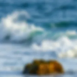 Waves crashing against rocks creating rhythmic sounds