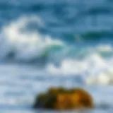 Ocean Waves and Their Musical Resonance Waves crashing against rocks creating rhythmic sounds