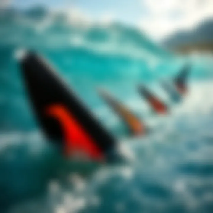 Diverse water sports showcasing fin applications in action