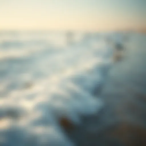 The Harmony of Waves Gentle ocean waves lapping at the shore