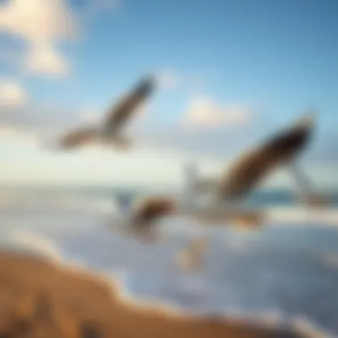 Seagulls in Flight Seagulls soaring above a tranquil beach