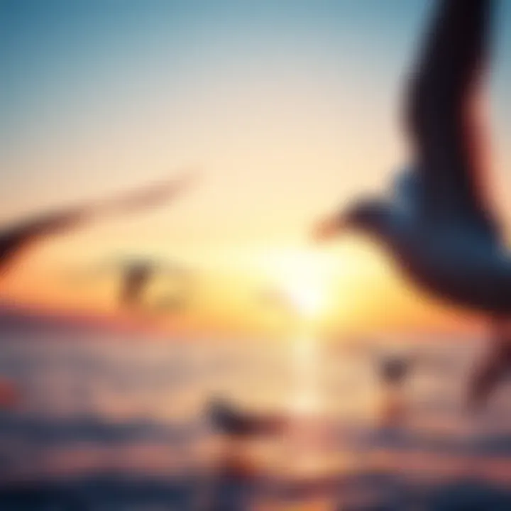 Sunset Serenity A serene sunset over the ocean with seagulls in view