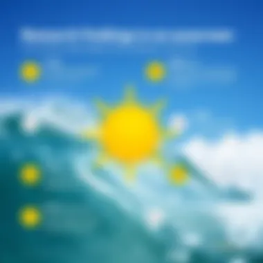 Graphic representation of scientific studies on sunscreen safety