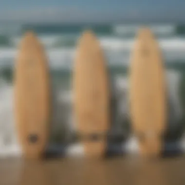 An array of various skimboard models displayed for comparison