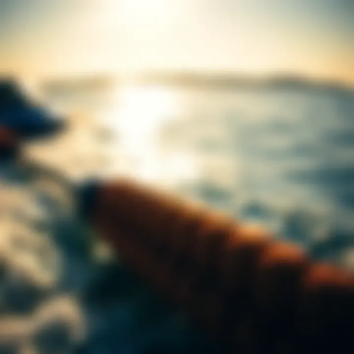 Types of Tow Ropes for Jet Skis An illustration showing the different types of tow ropes suitable for various water activities.