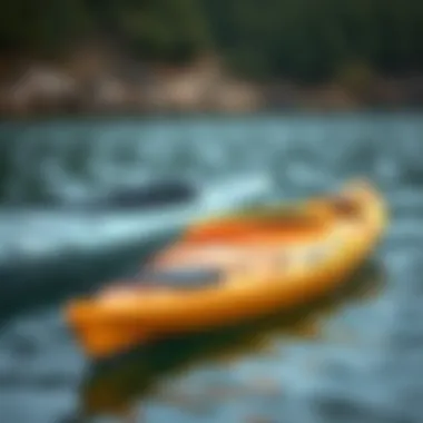 A selection of different kayak models reflecting innovation and performance.