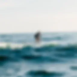 Electric surfboard on the water surface