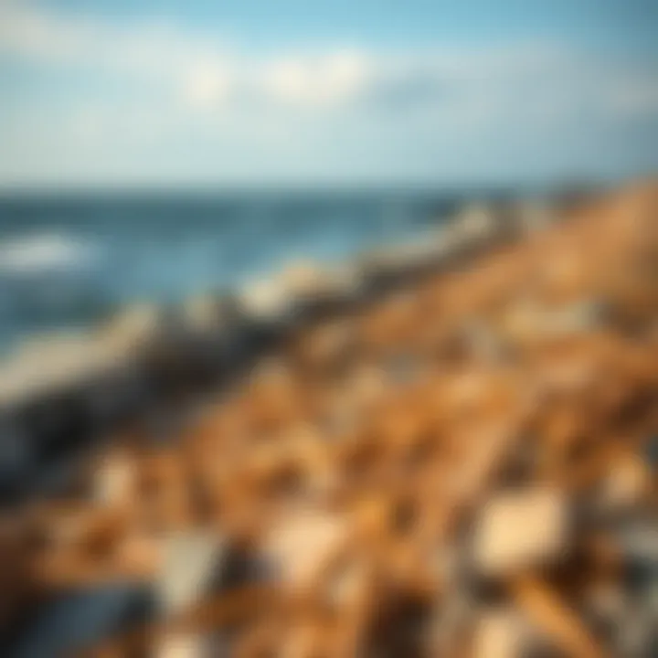 Materials commonly used in sea wall construction