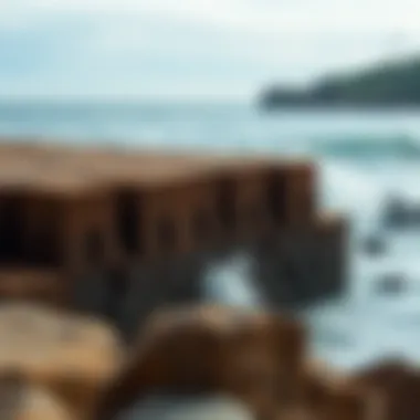 An illustration showing environmental impacts of sea walls