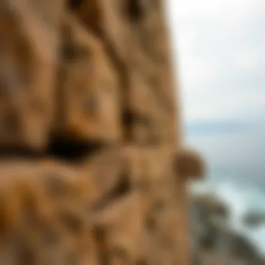 Different types of sea walls providing coastal protection