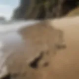 Coastal erosion showcasing the impact of extreme weather on shorelines