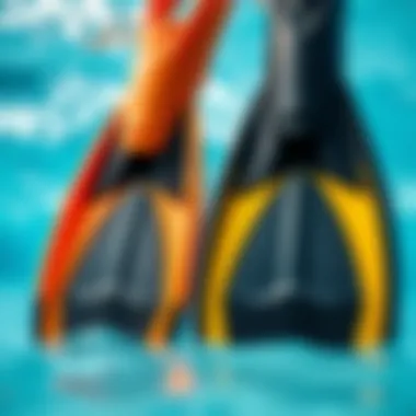 Exploring Size Variations in Swimming Fins Close-up of swimming fins showing size variations