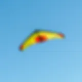 The Art of Flight: A Trainer Kite in Action A vibrant trainer kite soaring against a clear blue sky