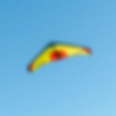The Art of Flight: A Trainer Kite in Action A vibrant trainer kite soaring against a clear blue sky