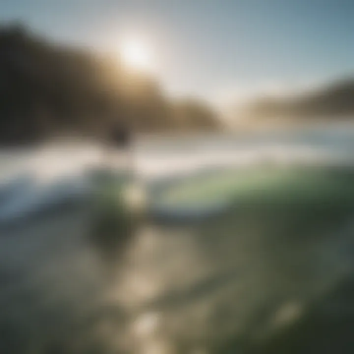 A group of wake surfers sharing experiences by the shore