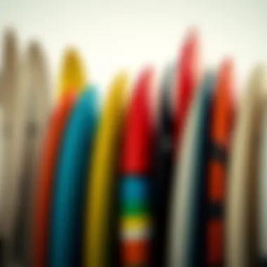 A collection of surfboards displayed at a surf school, showcasing variety